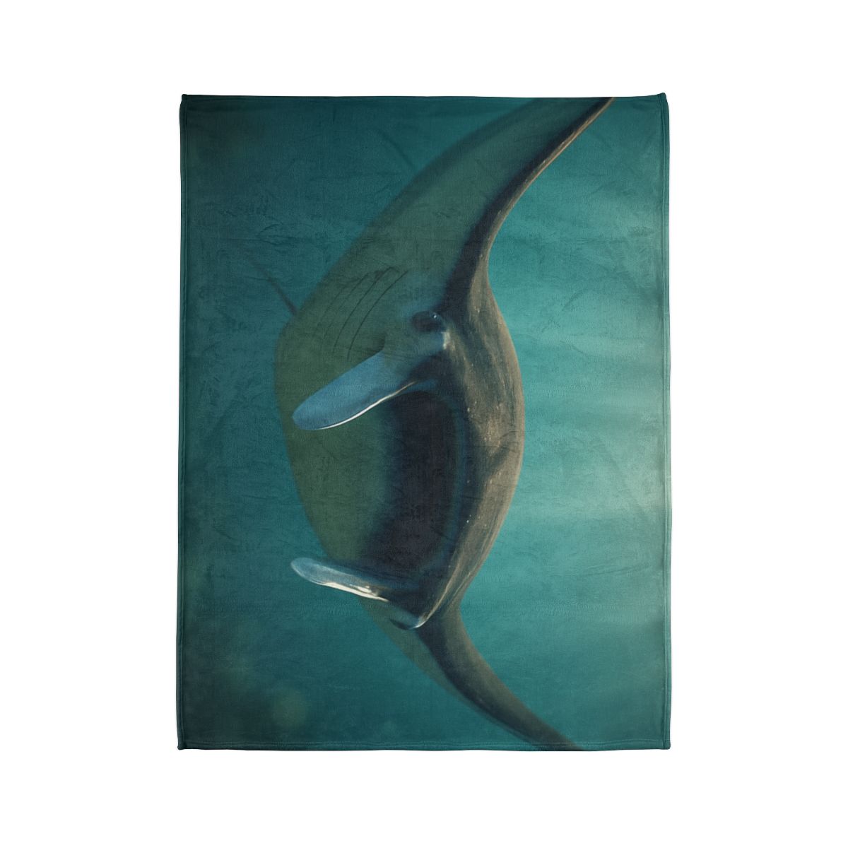 Starlit Drift Giant Manta Ray unique gift blankets