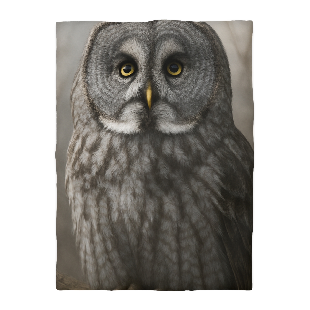 Frost Note Great Gray Owl warm winter duvets