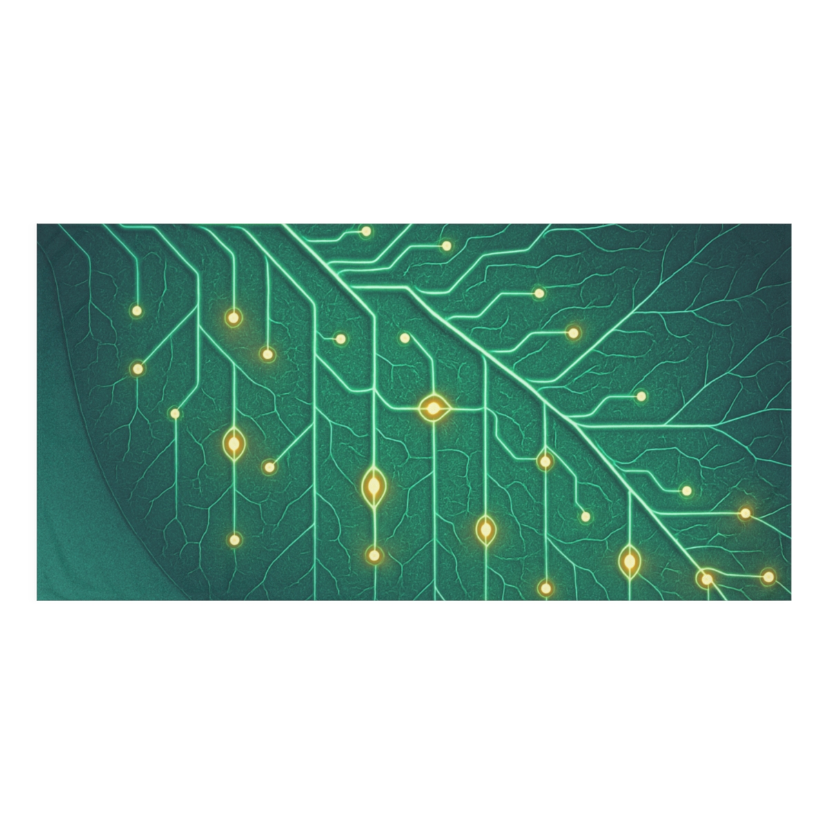 Vein Circuit Canopy unique gift towels