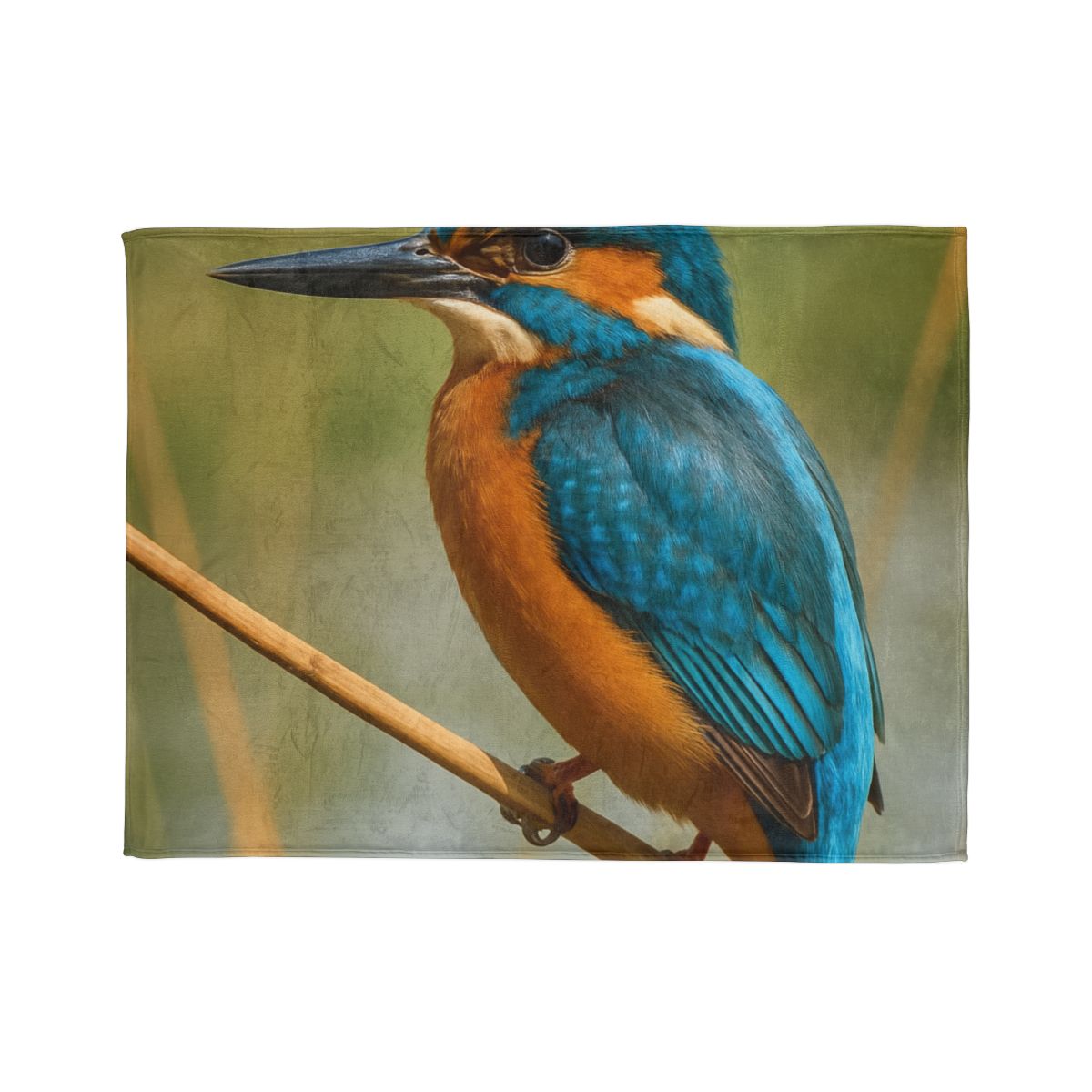 Prism Flash Common Kingfisher warm winter blankets