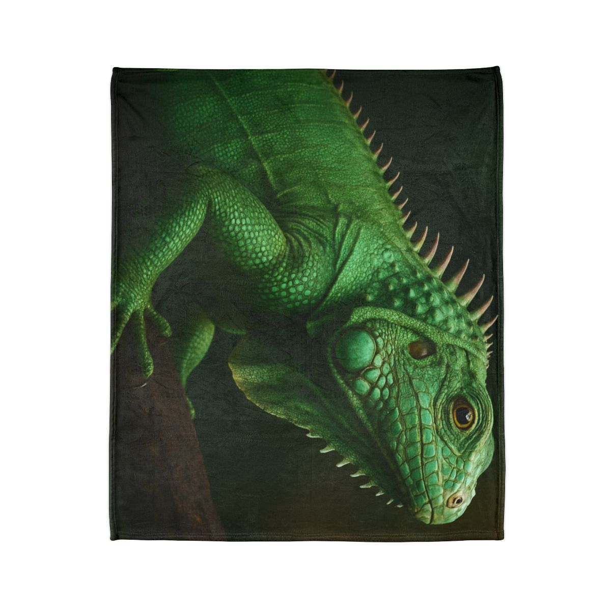 Mirror Glide Green Iguana decorative home blankets