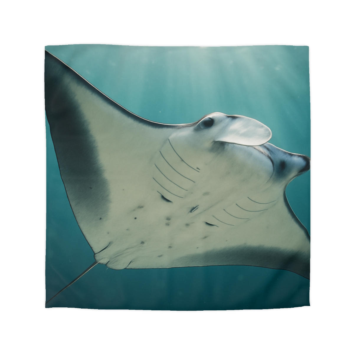 Celestial Glide Reef Manta Ray warm winter duvets