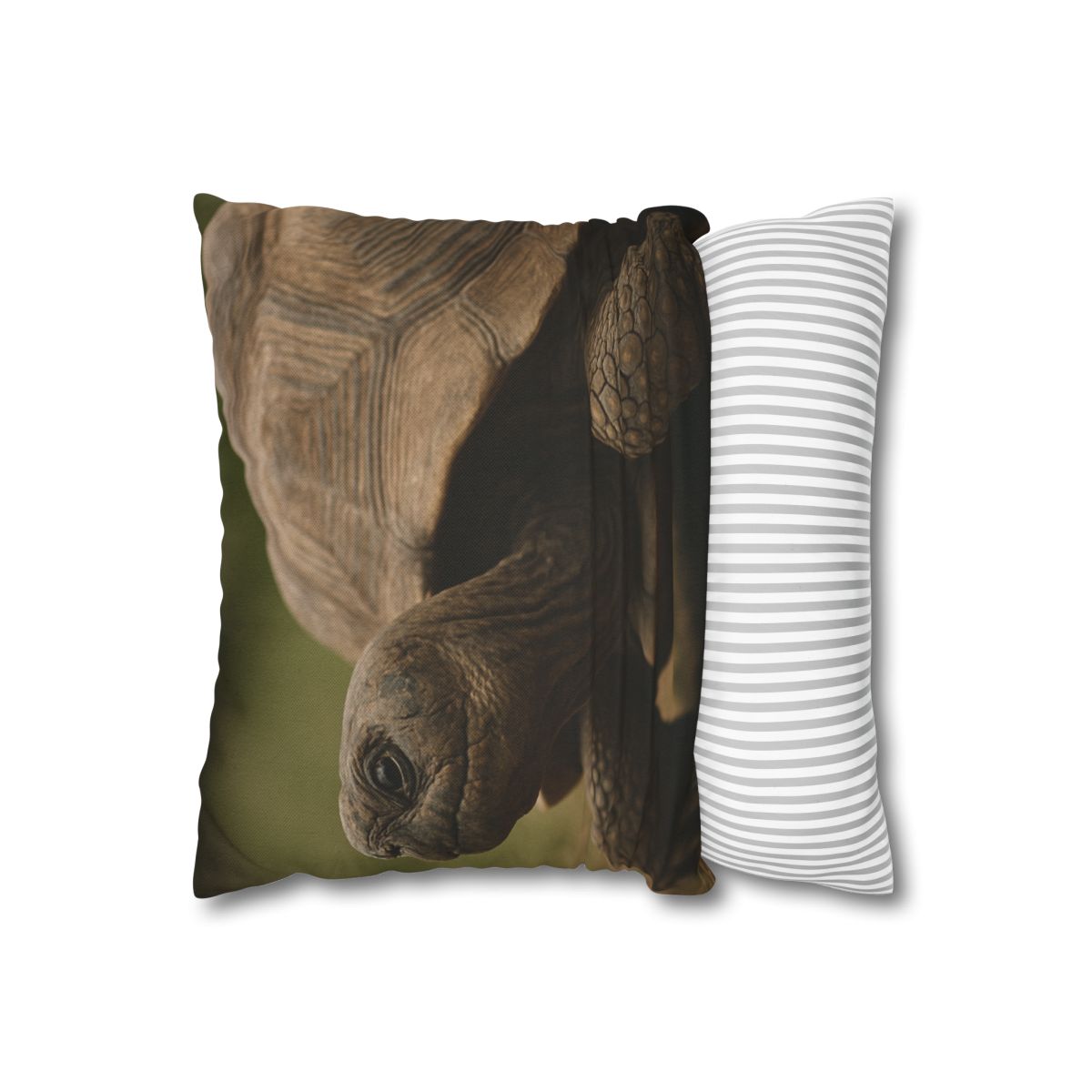 Giant Tortoise Timebound Gaze personalized pillow covers