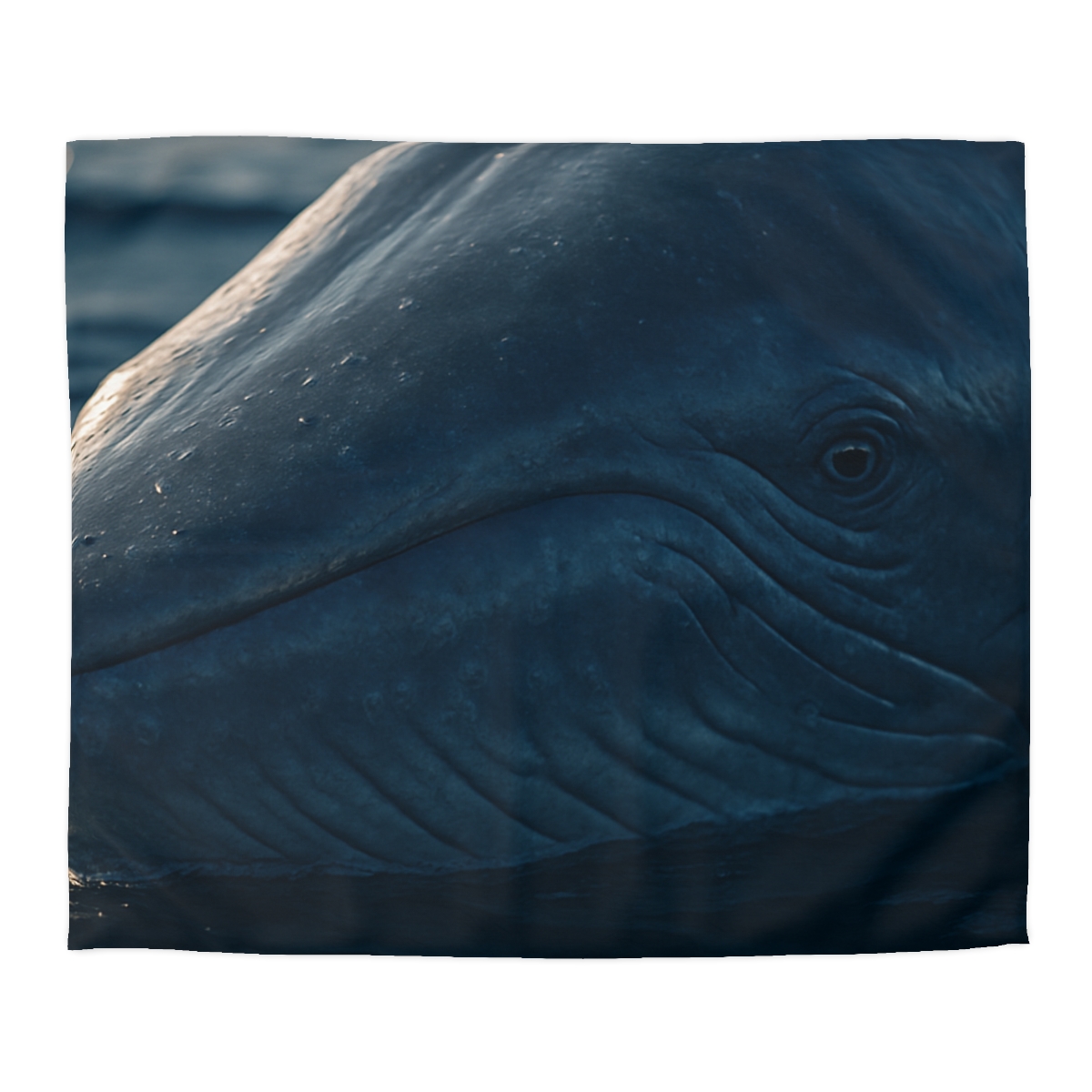Ocean Song Blue Whale personalized bedding duvets