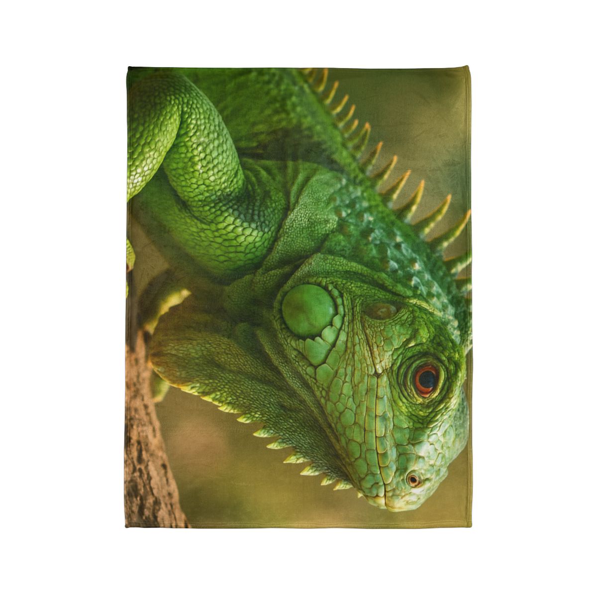 Green Iguana Sun Poise custom blankets