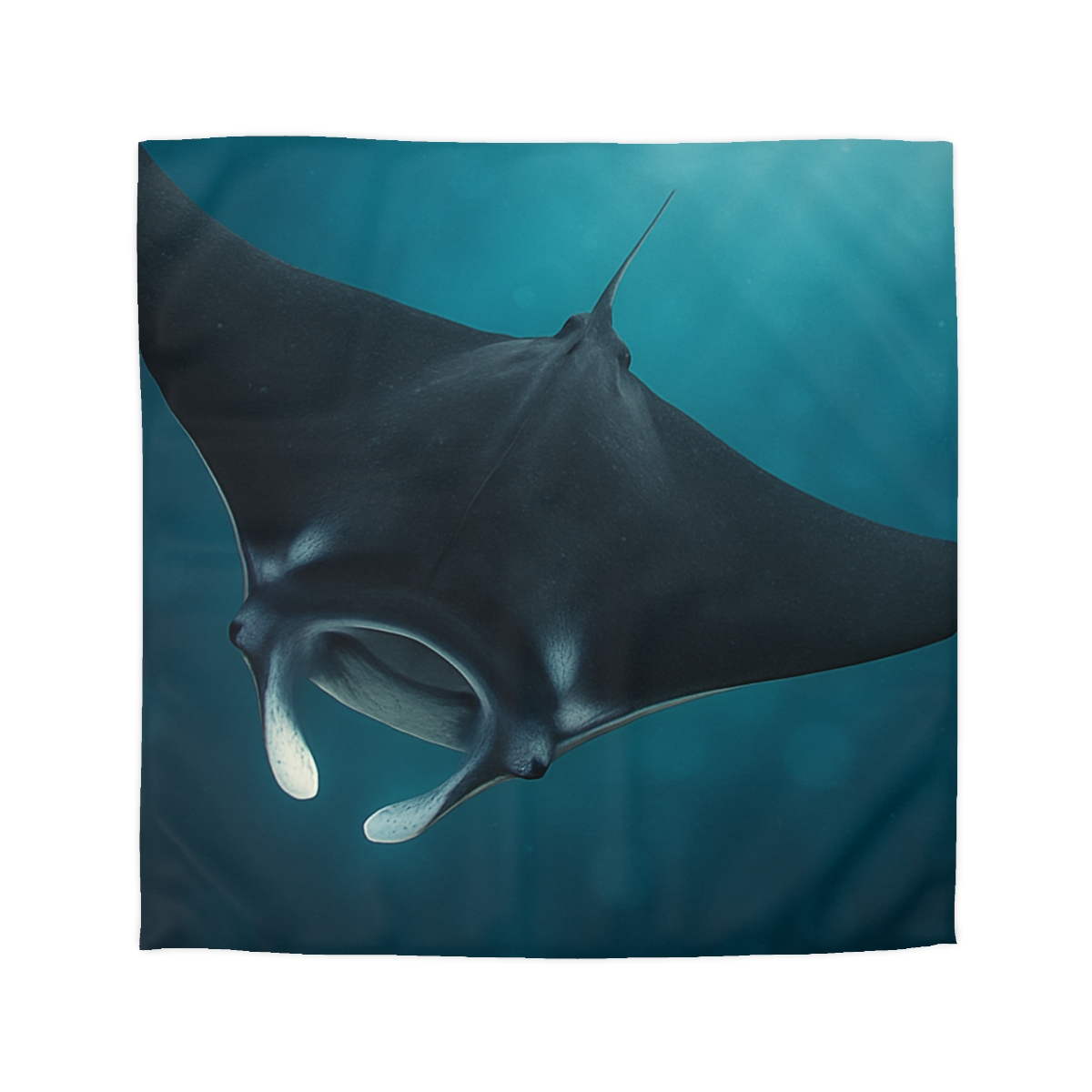 Cosmic Glide Manta Ray unique patterned duvets