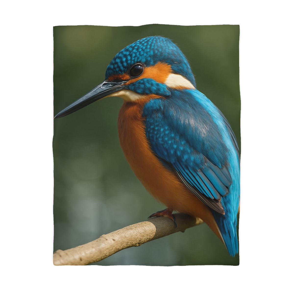 Azure Bolt Common Kingfisher trendy bedroom duvets