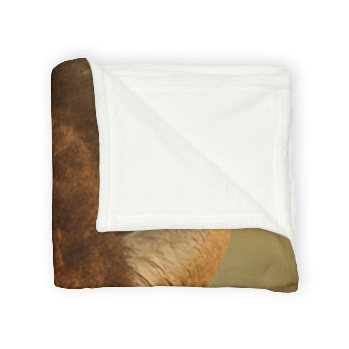 Thunder Stillness American Bison soft fleece blankets