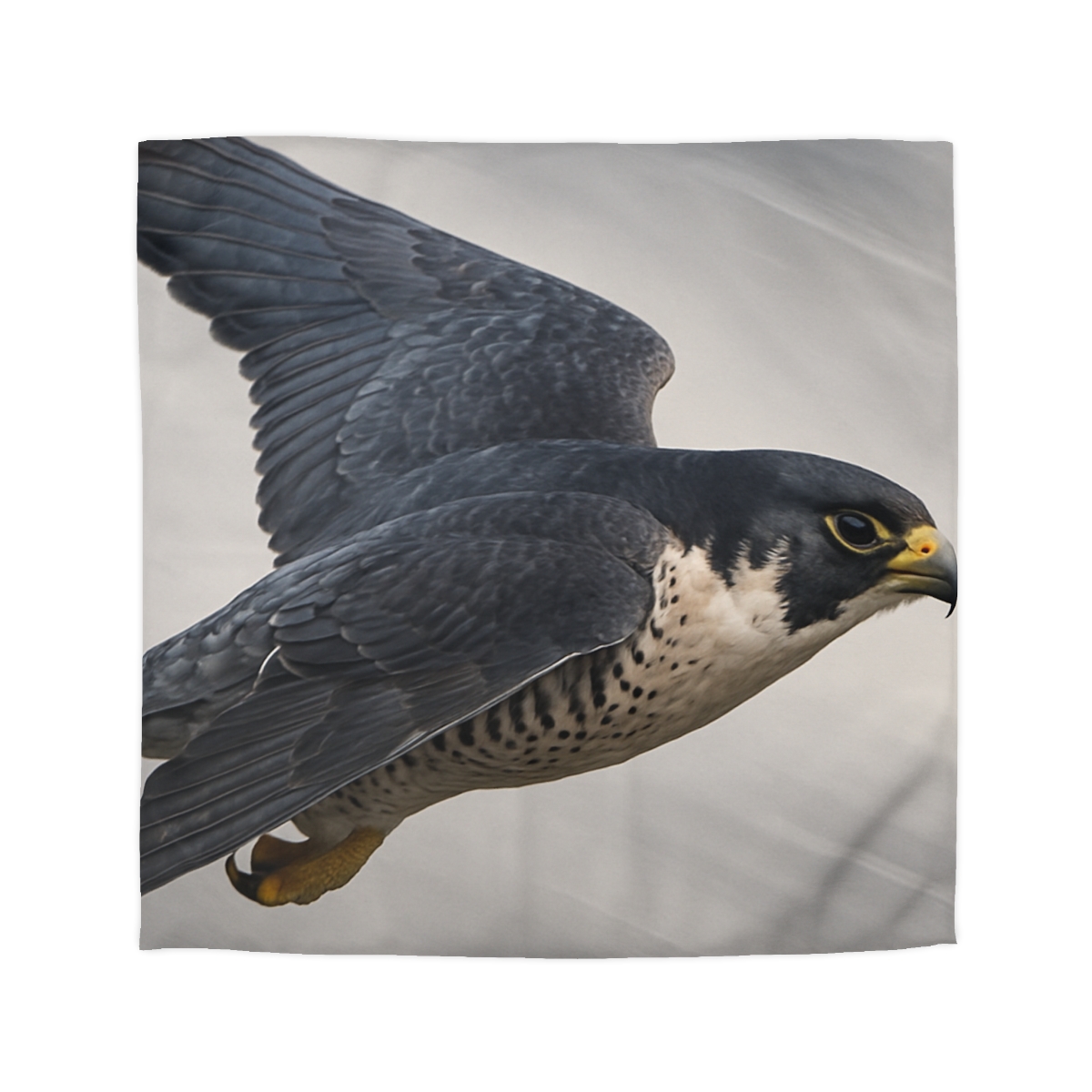 Stormglide Peregrine Falcon unique patterned duvets