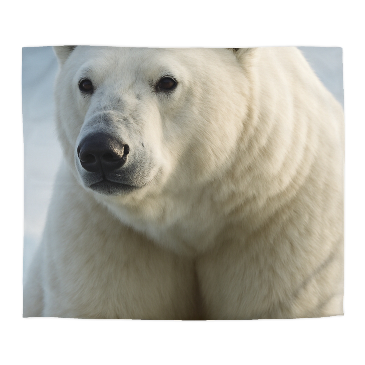 Glacier Sentinel Polar Bear warm winter duvets
