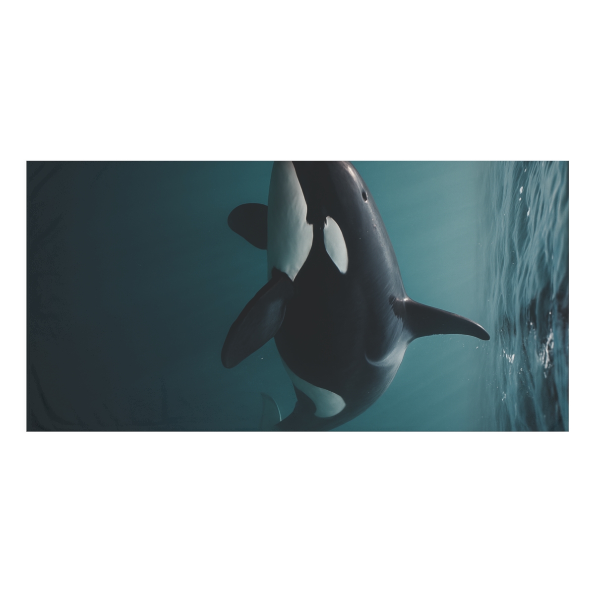 Tidal Phantom Orca decorative home towels
