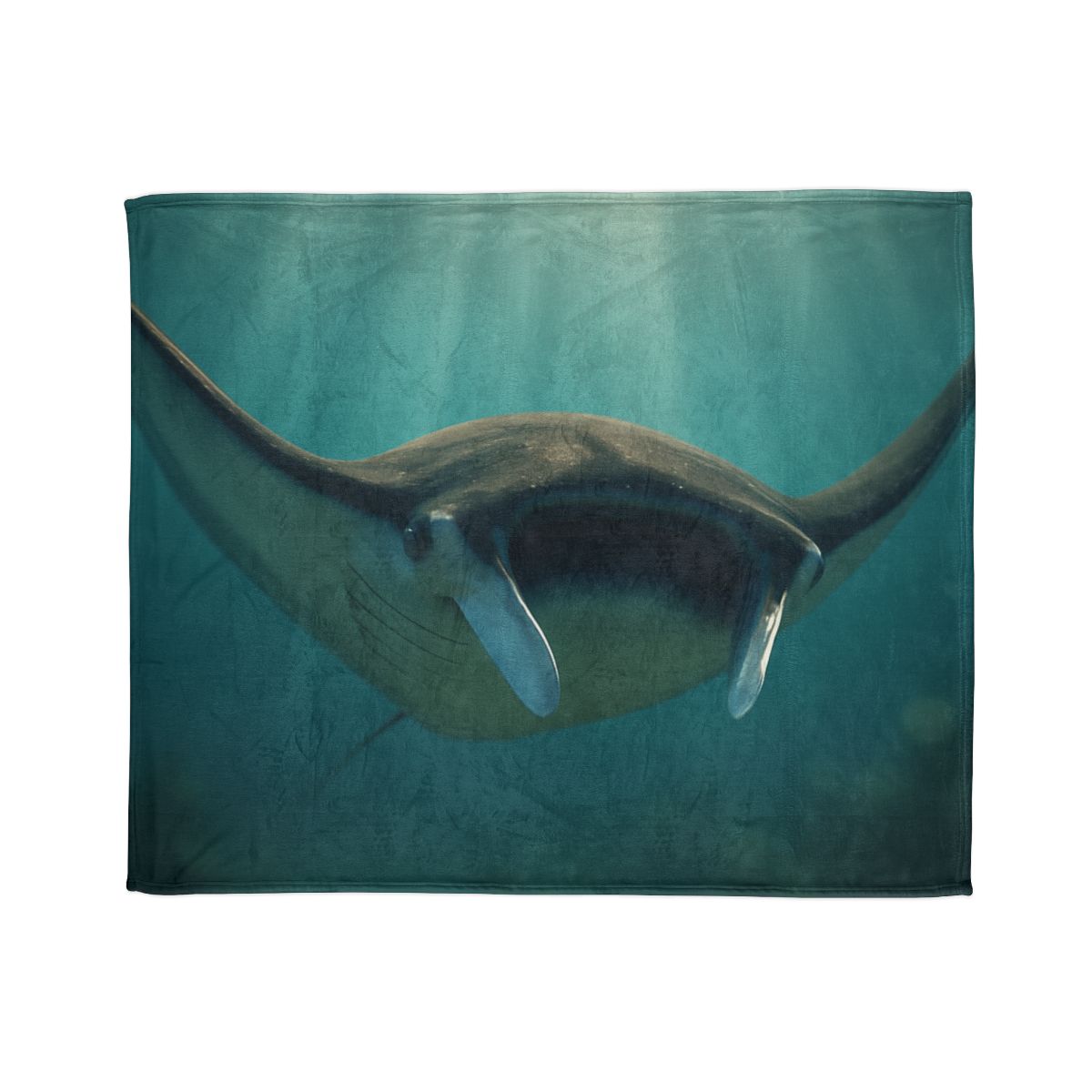 Starlit Drift Giant Manta Ray unique gift blankets