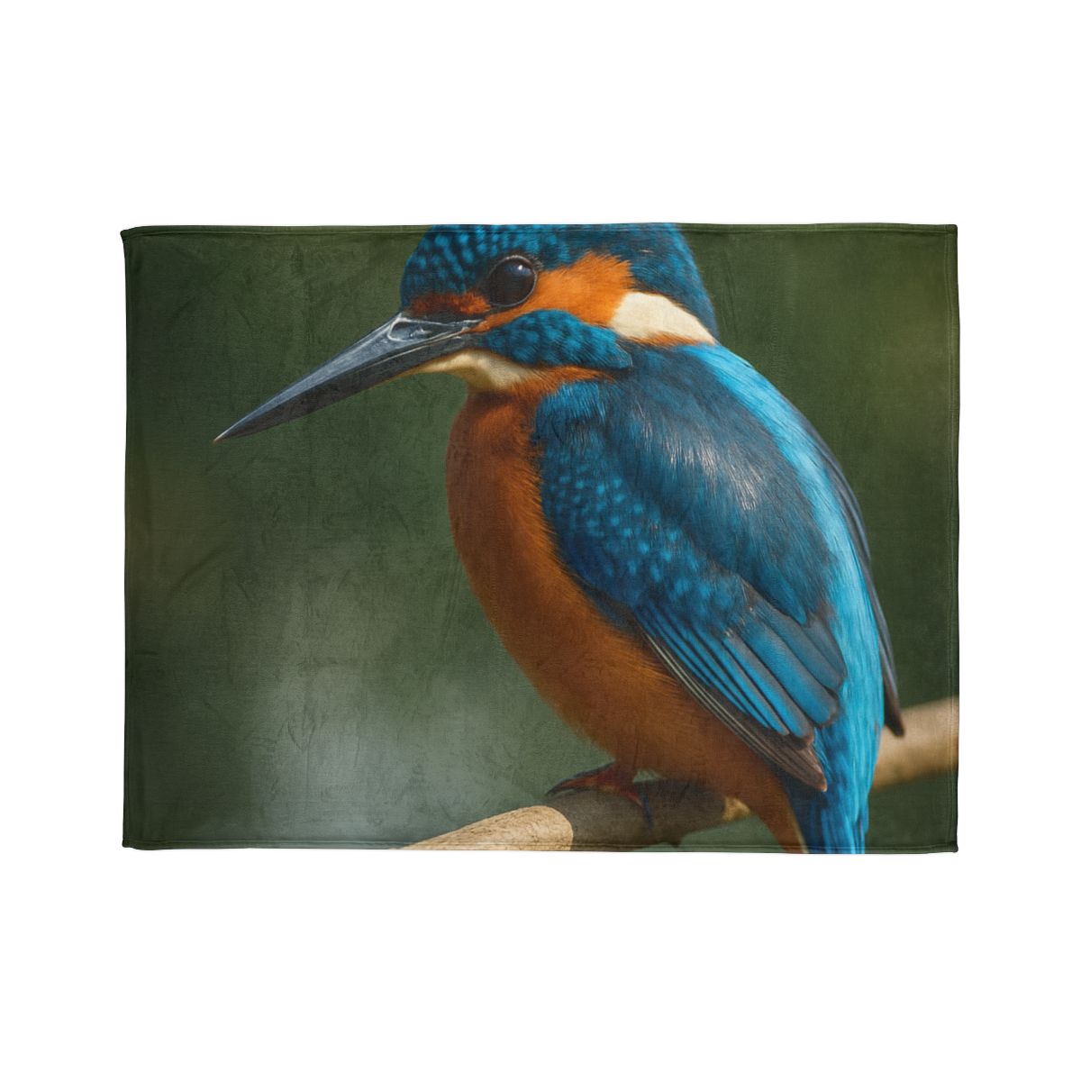 Azure Bolt Common Kingfisher soft fleece blankets