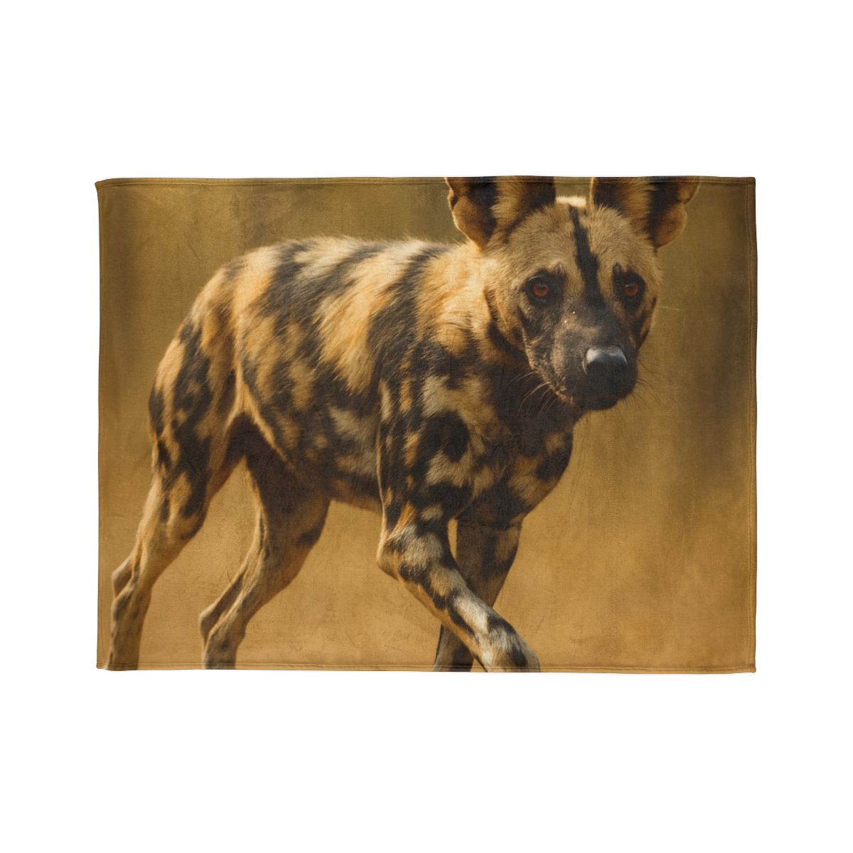 Pulse Trail Painted Dog decorative home blankets