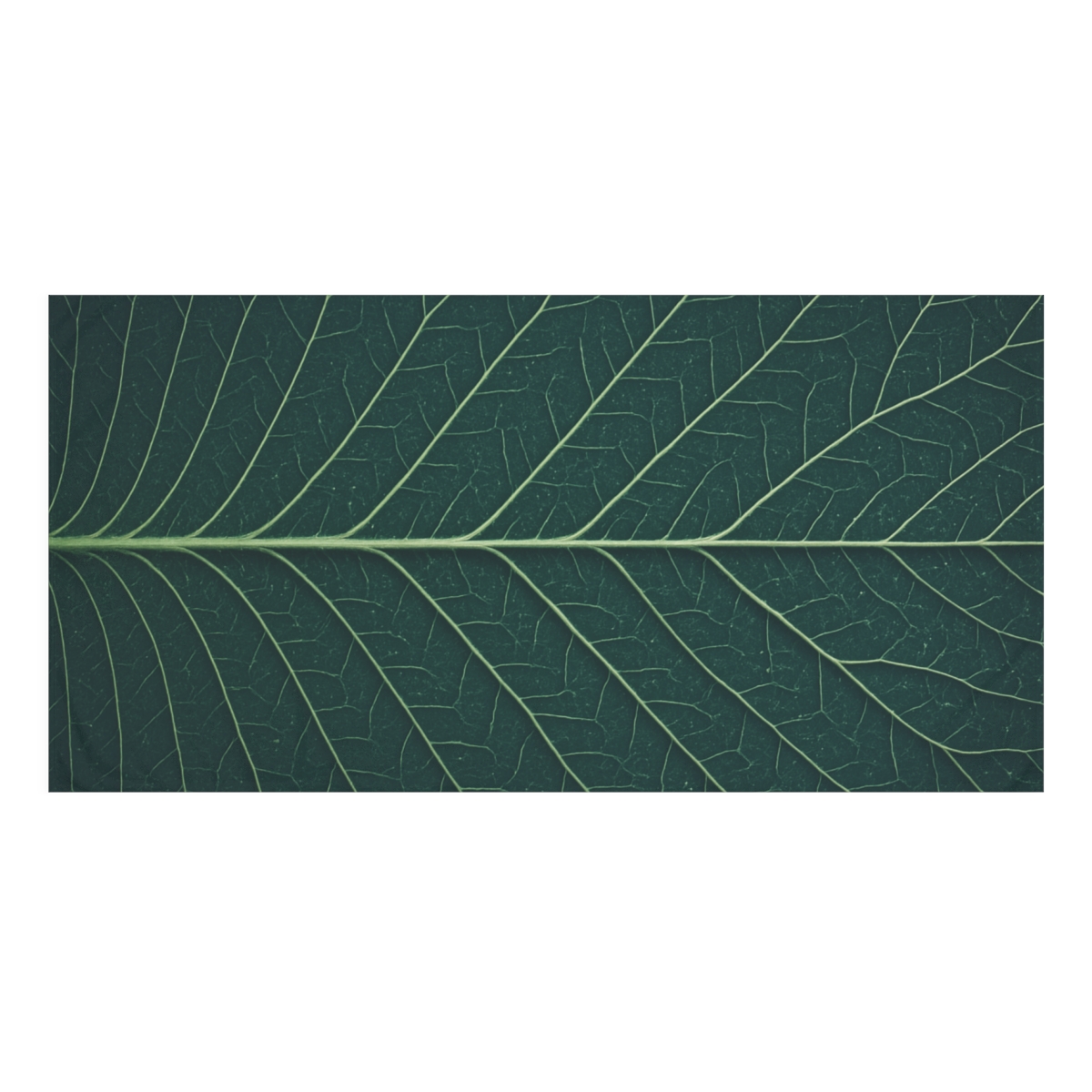 Leaf Vein Constellation unique gift towels