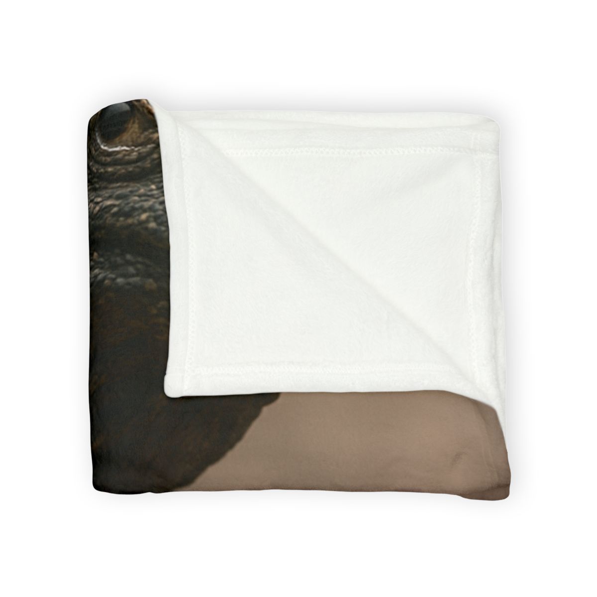 Ancient Sentinel Komodo Dragon soft fleece blankets