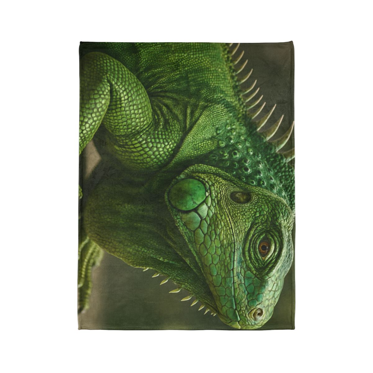 Stone Quiet Green Iguana personalized cozy blankets