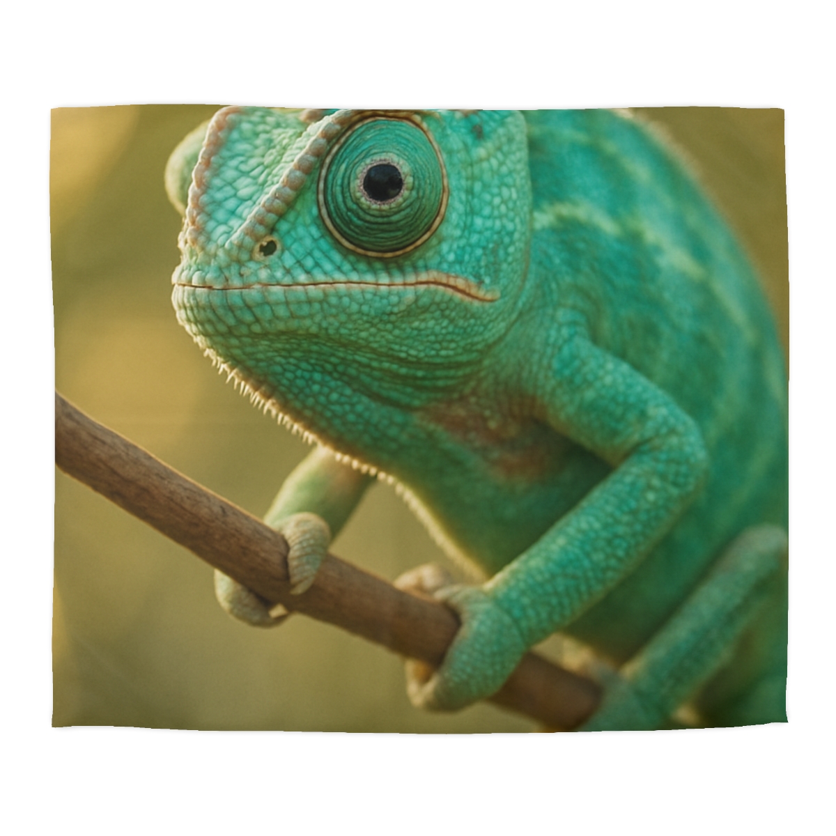 Prism Gaze Veiled Chameleon designer printed duvets