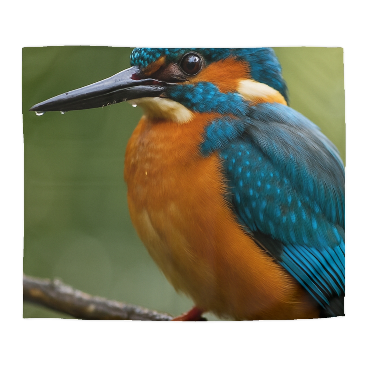 Aqua Bolt Kingfisher unique patterned duvets