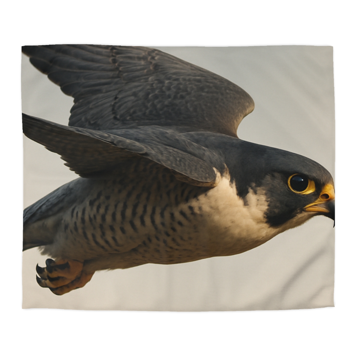 Comet Glide Peregrine Falcon duvets for gifts