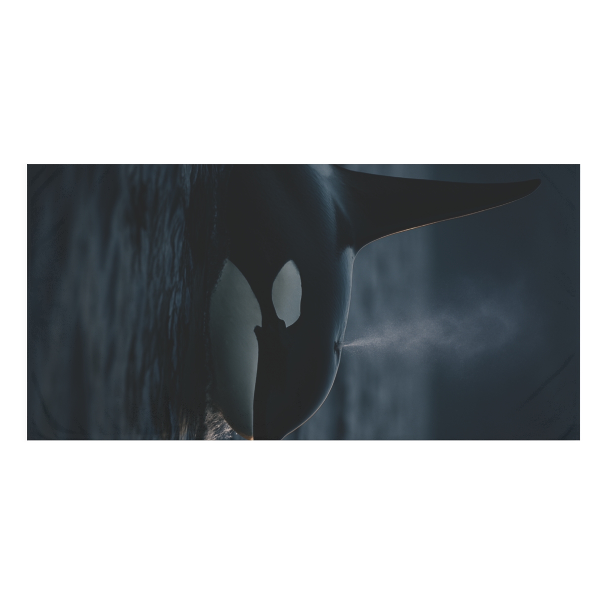Orca Midnight Surge stylish beach towels
