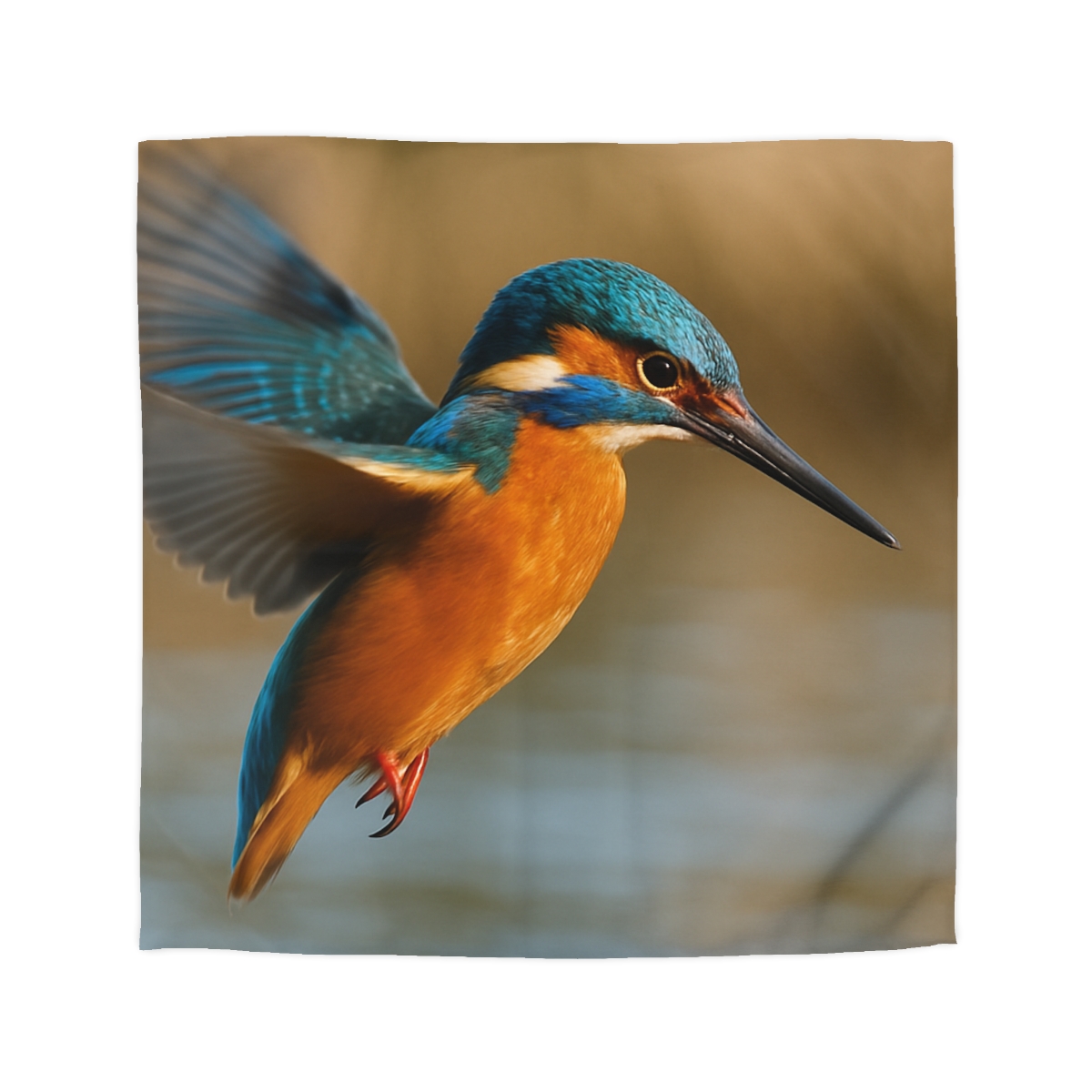 Sky Arrow Kingfisher duvets for gifts