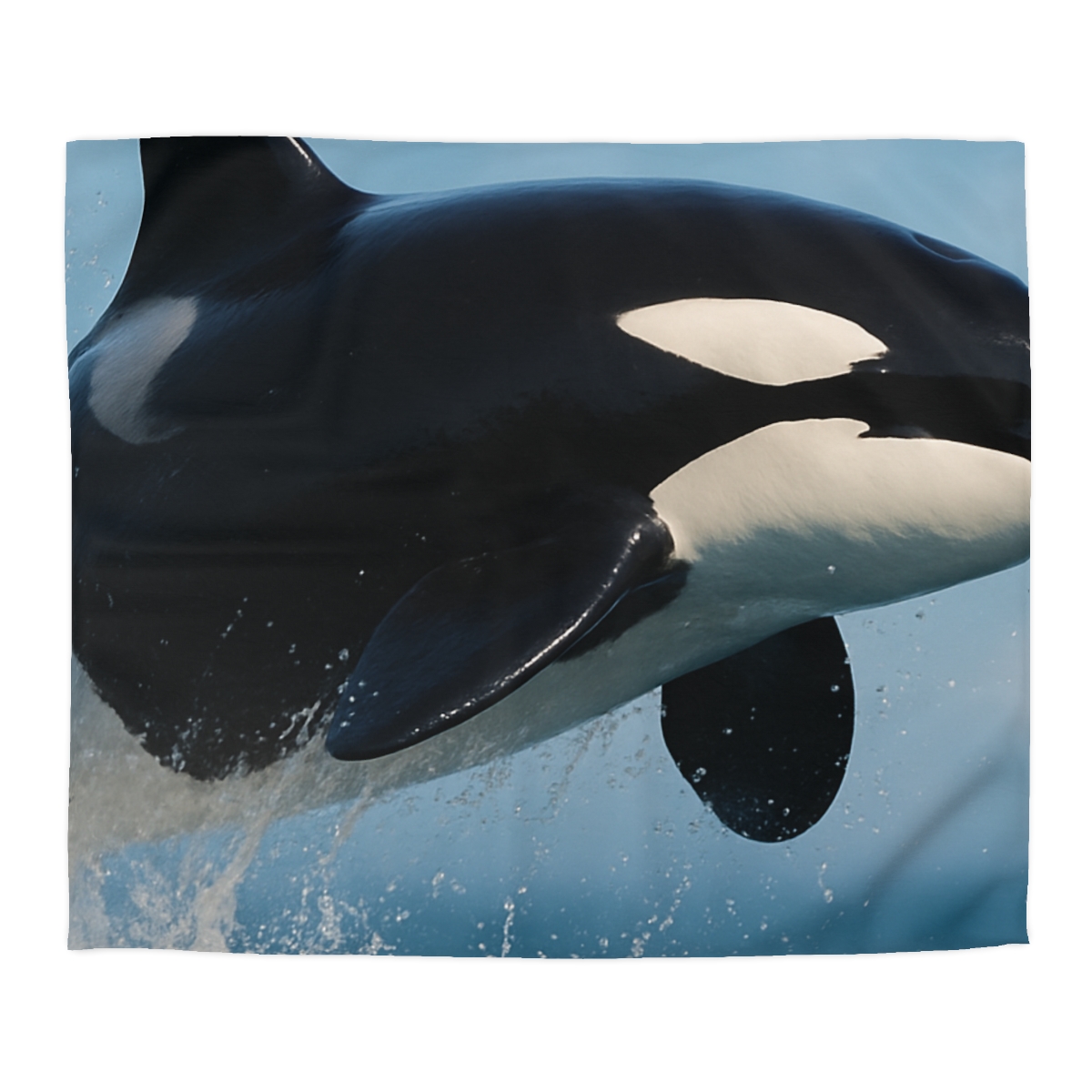 Tidal Monarch Orca custom duvets
