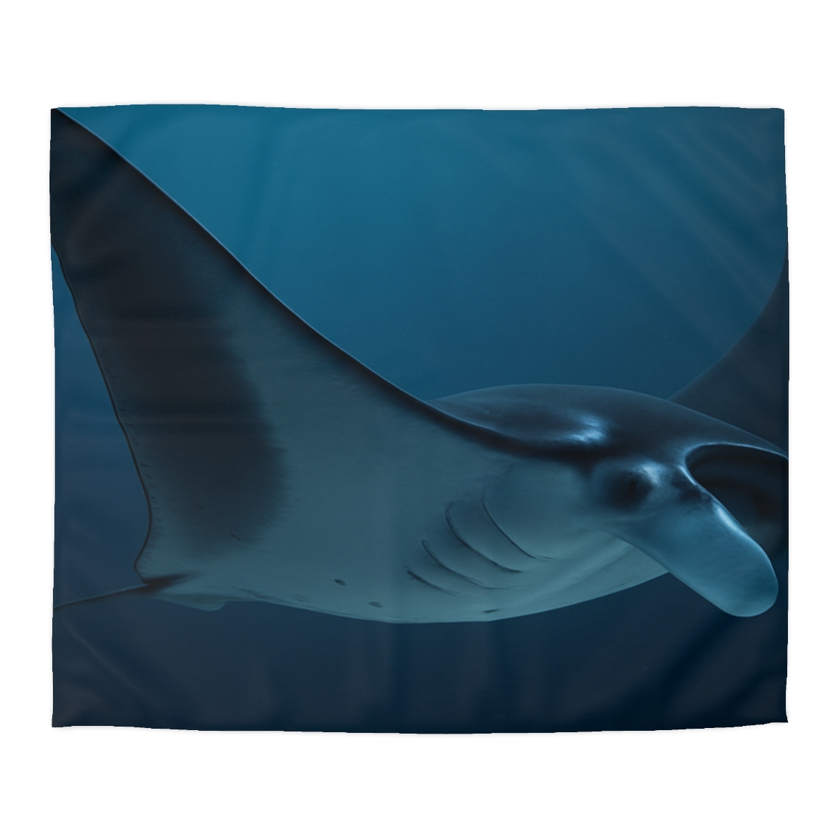 Celestial Glide Manta Ray designer printed duvets