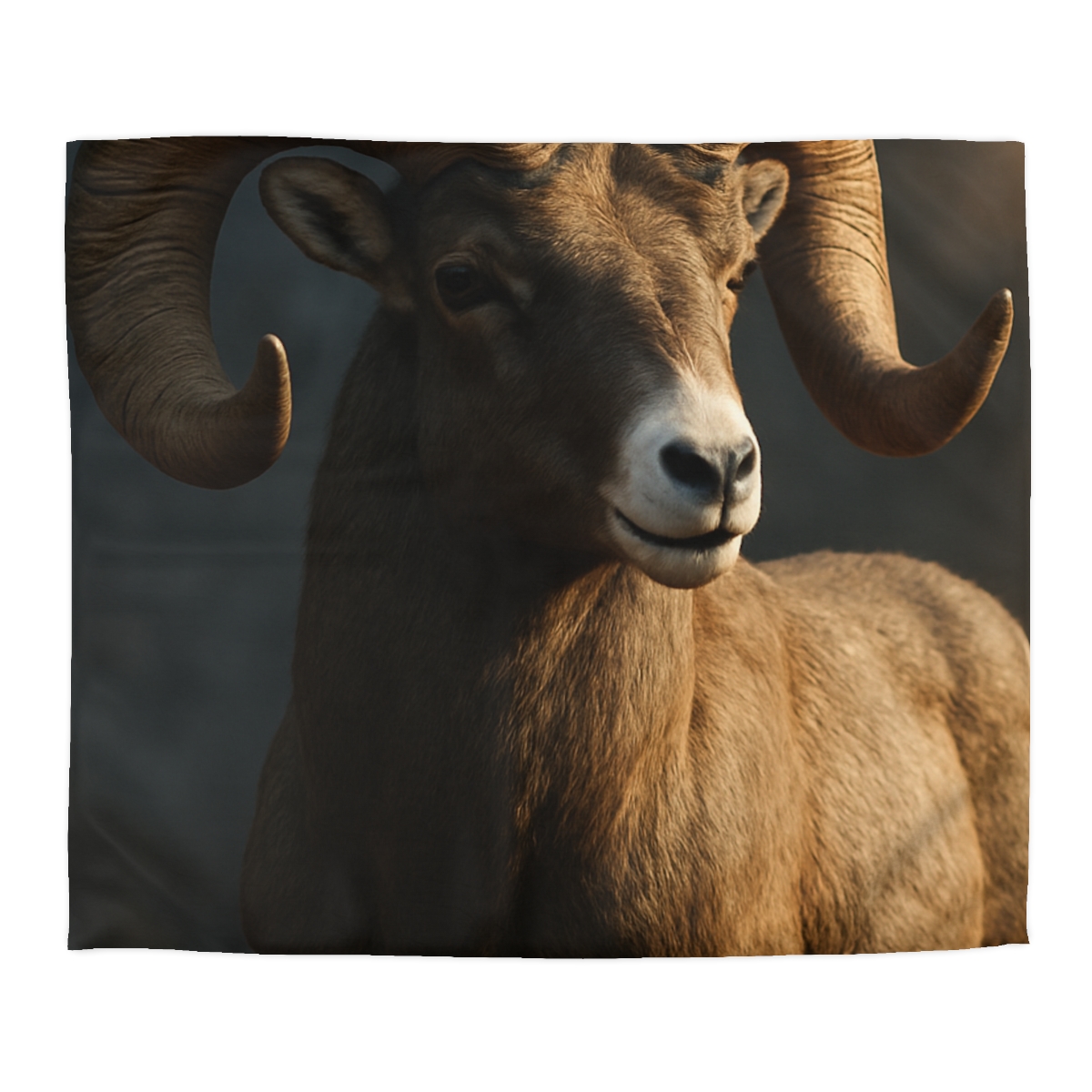 Canyon Shadow Bighorn Sheep duvets for gifts
