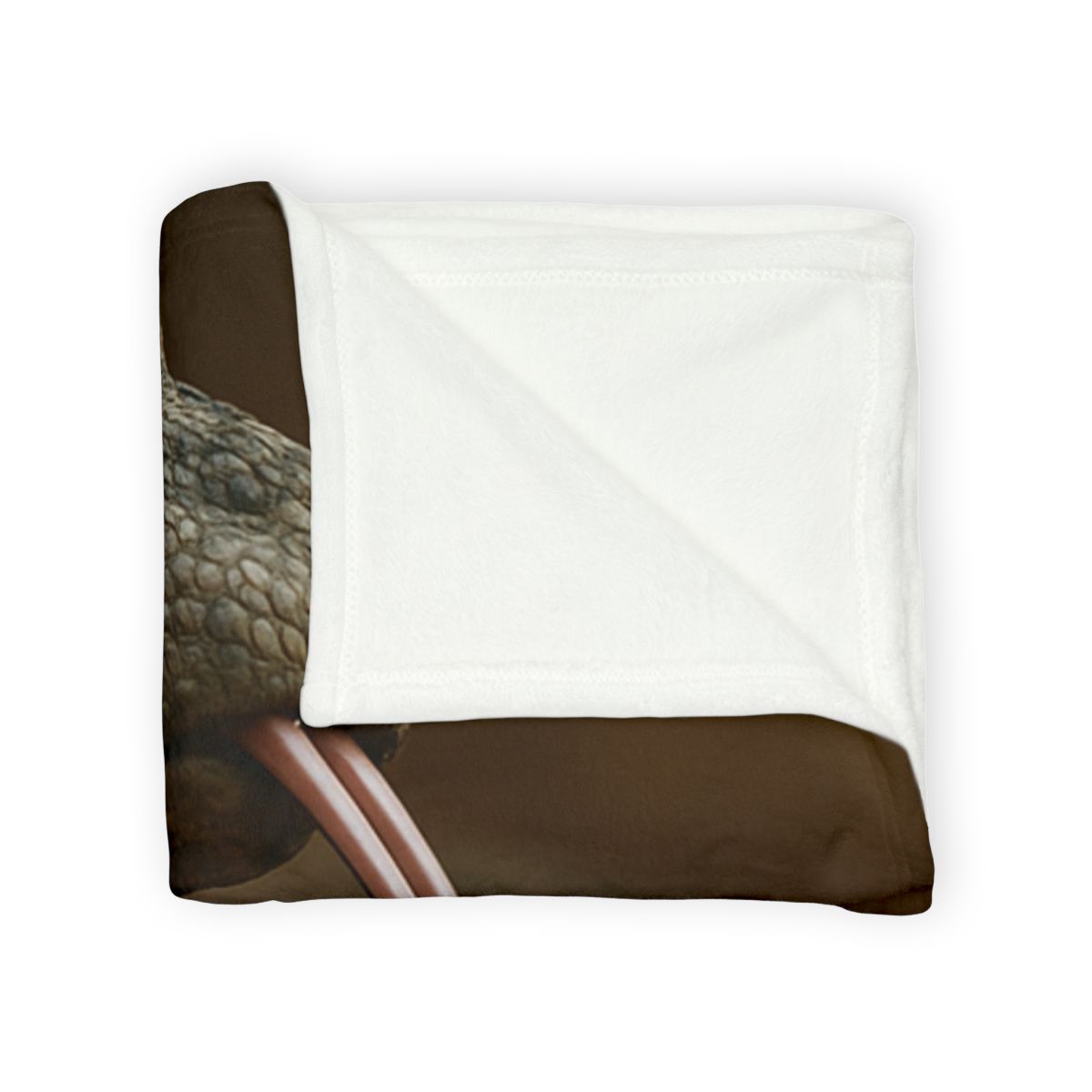 Ancient Sentinel Komodo Dragon personalized cozy blankets