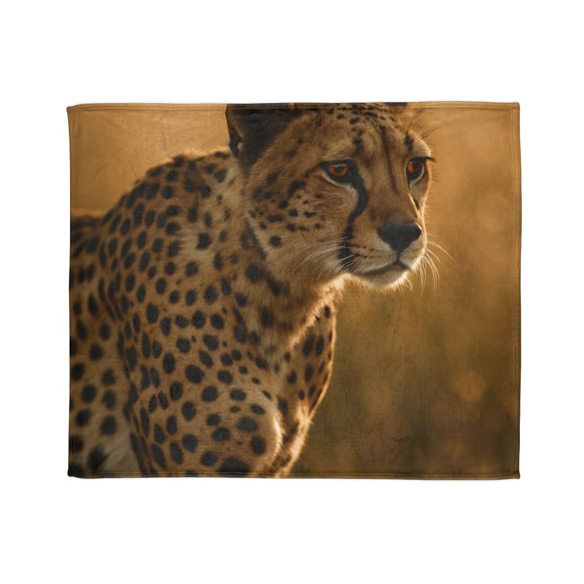 Sunlit Stare Cheetah warm winter blankets