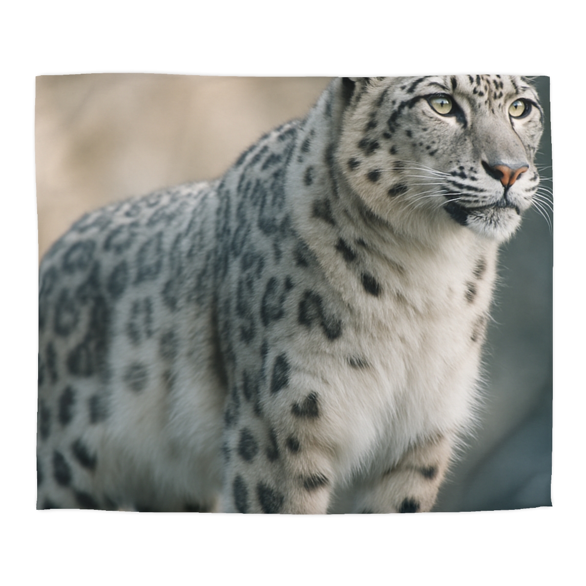 Mist Veil Snow Leopard designer printed duvets