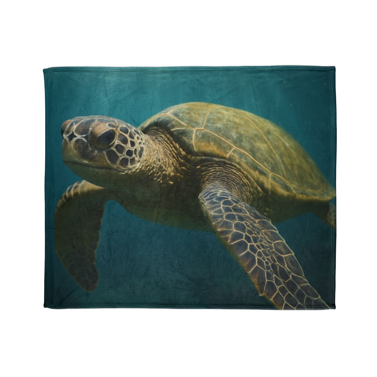 Glasswater Drift Green Sea Turtle warm winter blankets