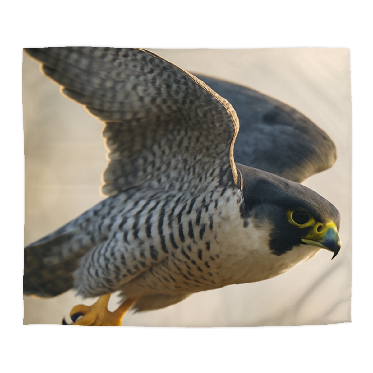 Sky Bolt Peregrine Falcon warm winter duvets