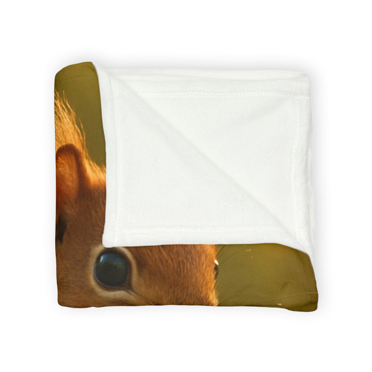 Sunrise Forager Red Squirrel decorative home blankets
