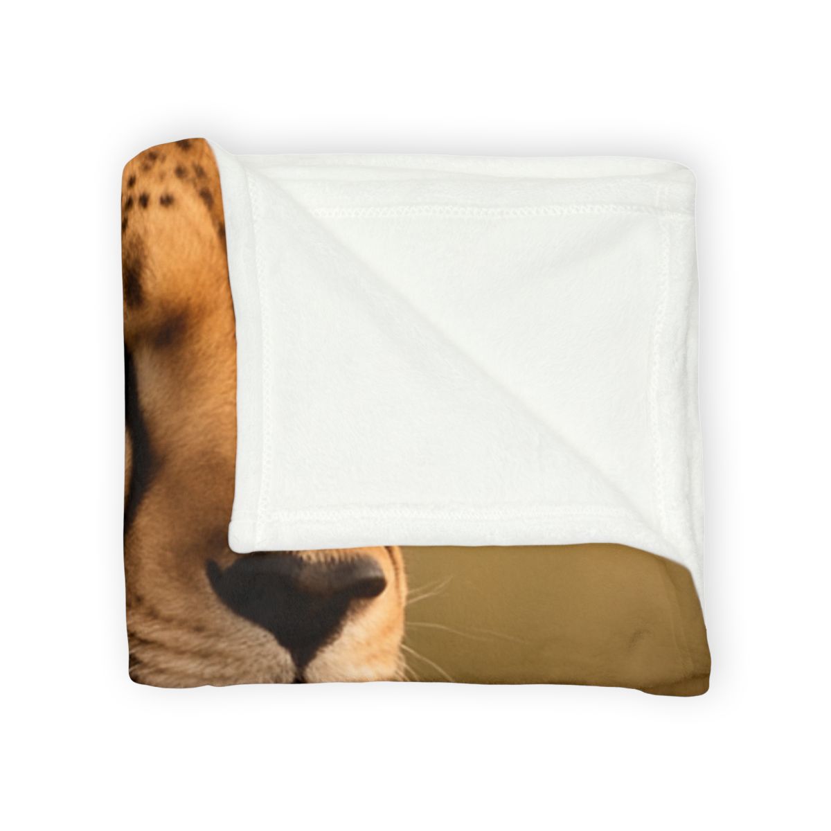 Amber Gaze Cheetah designer printed blankets