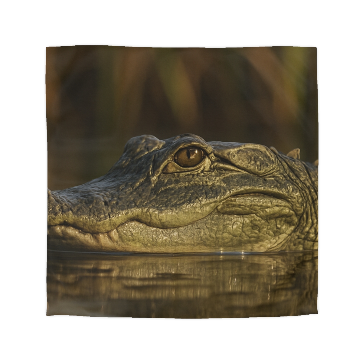 Nebula Stillness American Alligator duvets for gifts