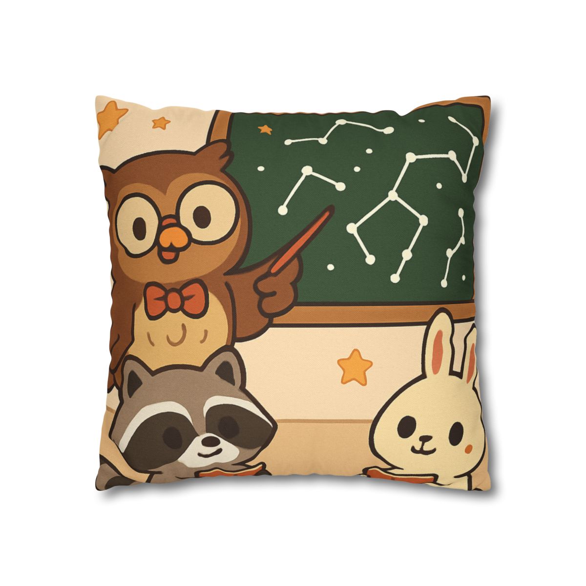 Comet Classroom Owl And The Star Map Chalkboard soft cotton pillow cases