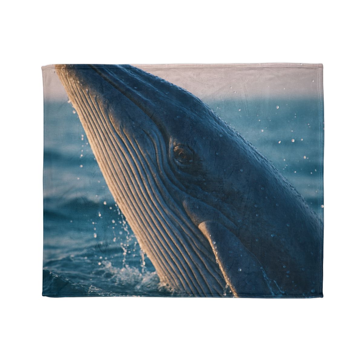 Ocean Song Blue Whale stylish throw blankets