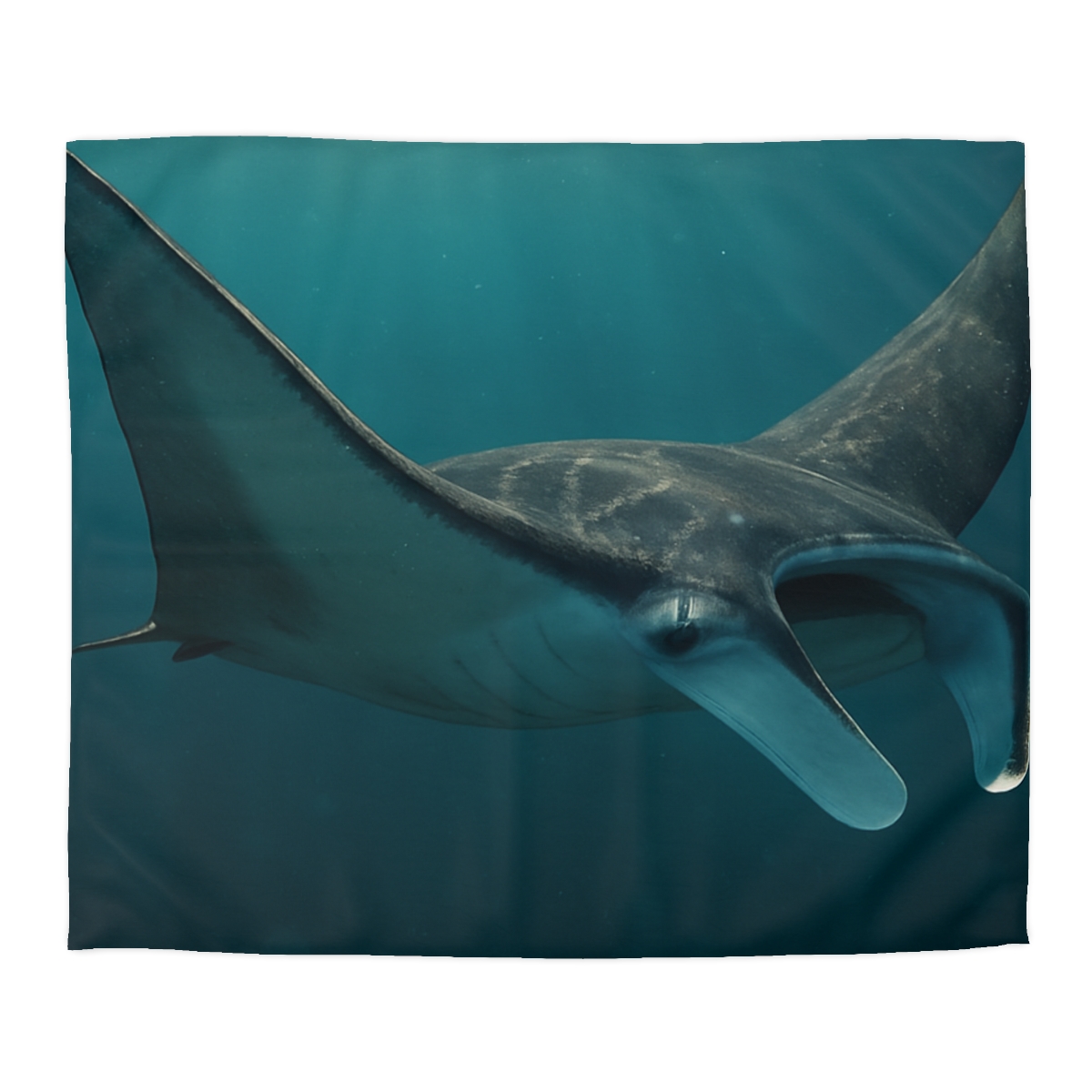 Starlit Drift Manta Ray custom duvets
