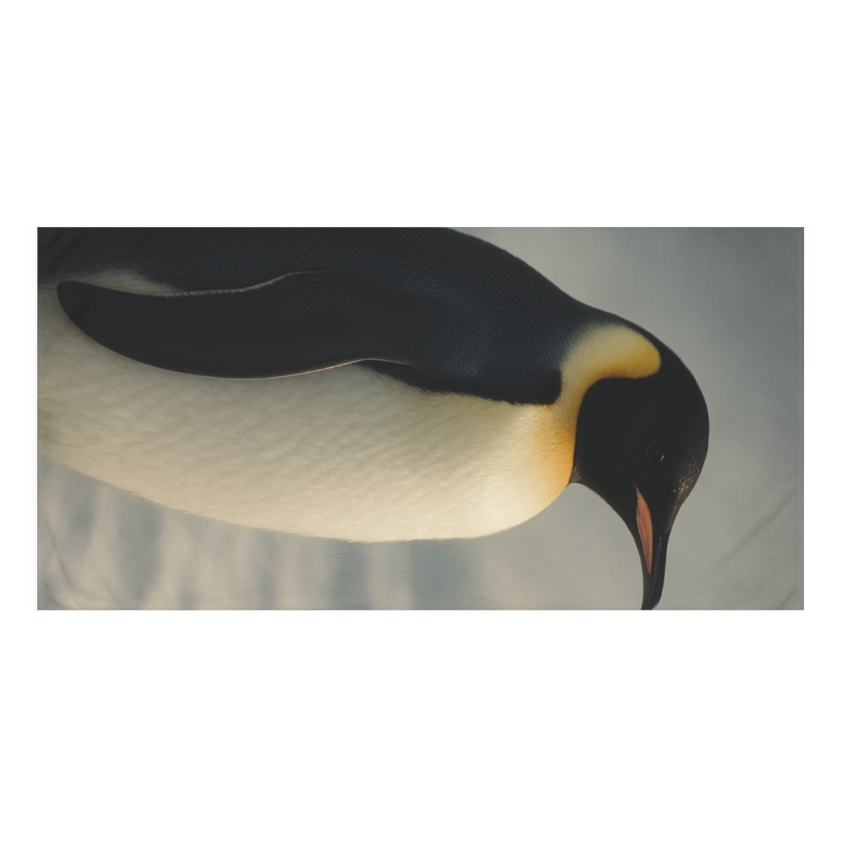 Frost Halo Emperor Penguin designer printed towels