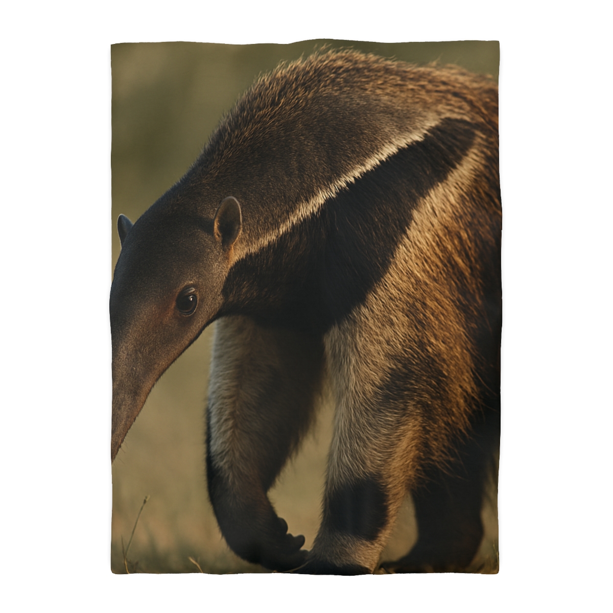 Ember Gaze Giant Anteater warm winter duvets