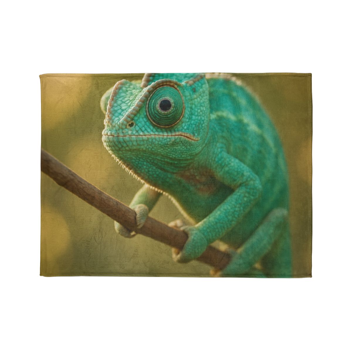 Prism Gaze Veiled Chameleon trendy patterned blankets