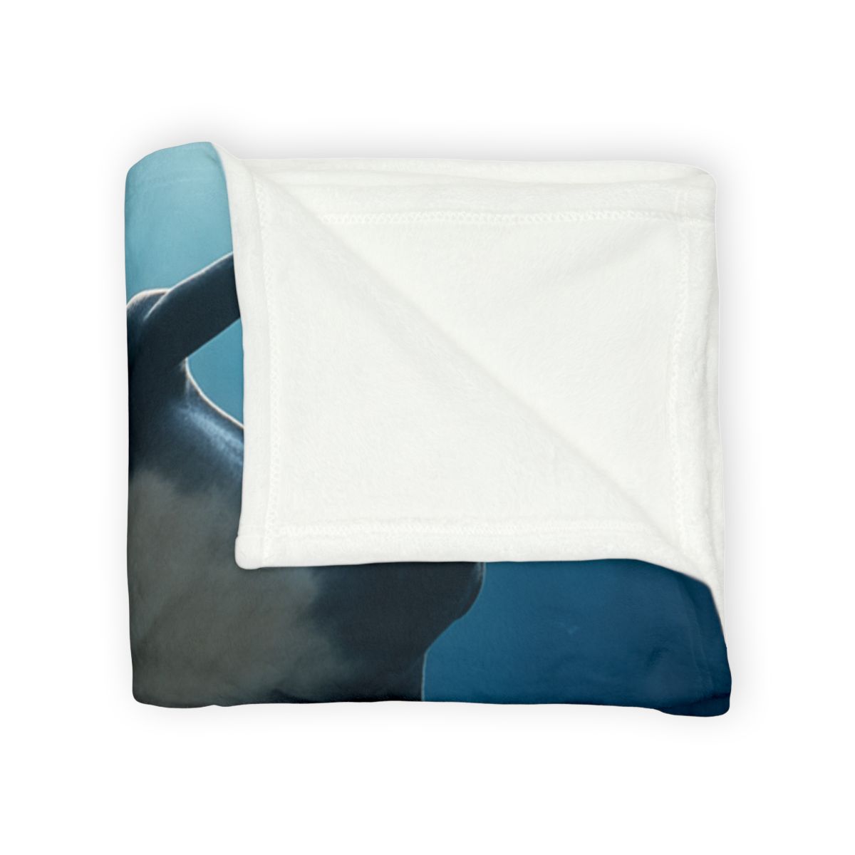 Manta Ray Moon Glide decorative home blankets