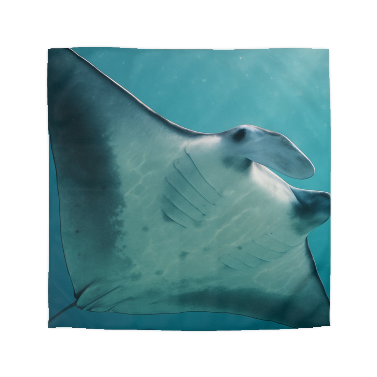 Silent Glide Manta Ray unique patterned duvets