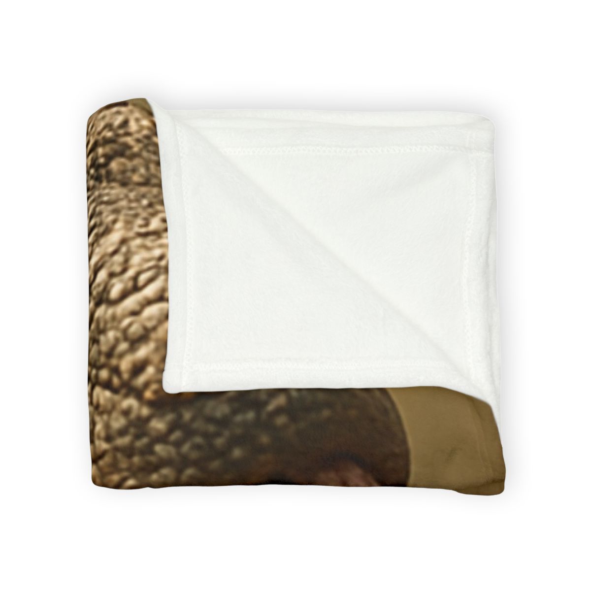 Ancient Sentinel Komodo Dragon decorative home blankets