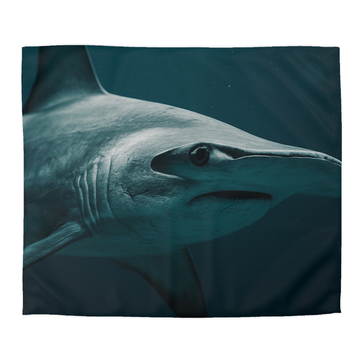 Midwater Silhouette Hammerhead Shark warm winter duvets