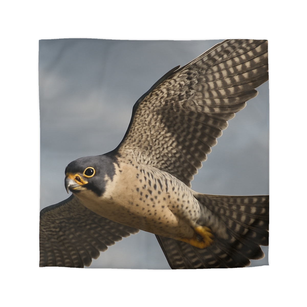 Sky Lance Peregrine Falcon personalized bedding duvets