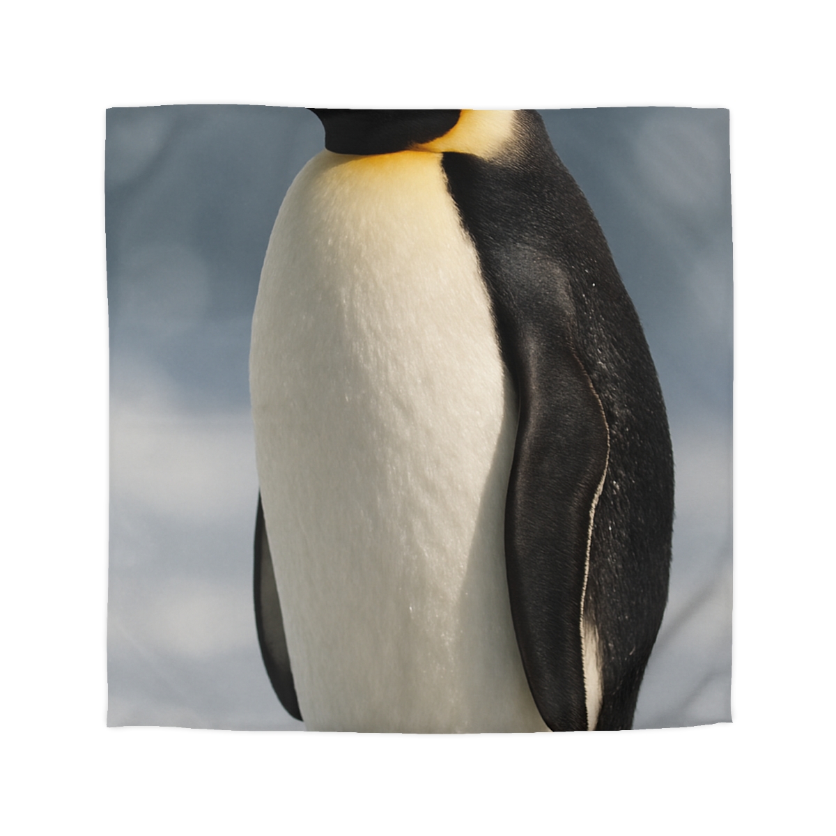 Aurora Drift Emperor Penguin stylish duvet covers