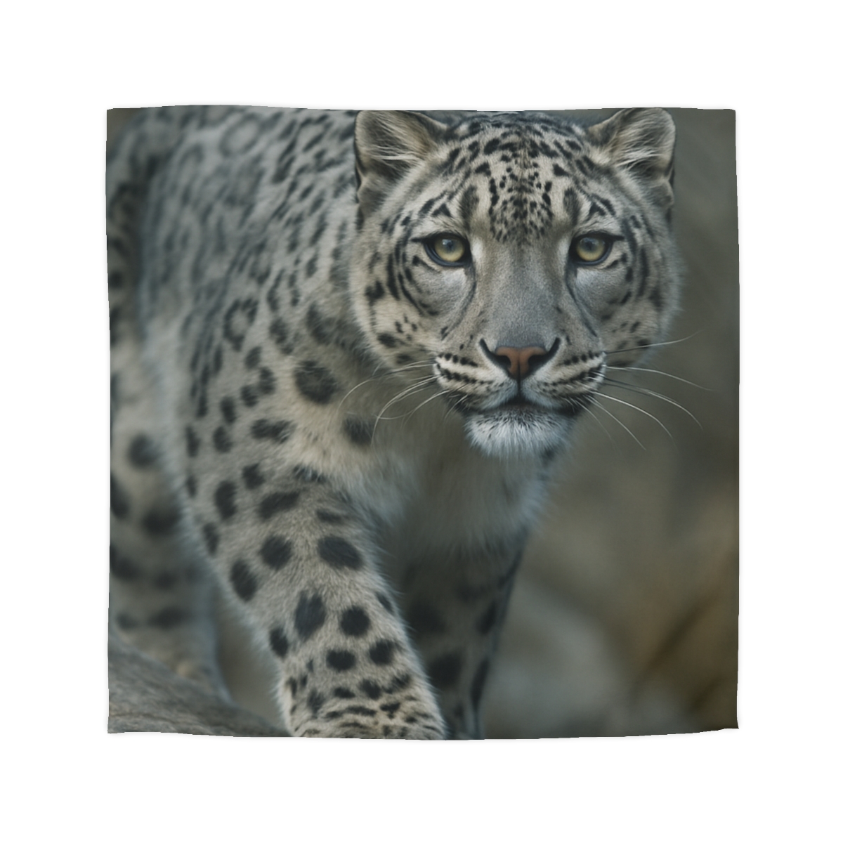 Starlit Sprint Snow Leopard soft comforter duvets